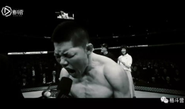 格斗视频,格斗视频精彩回顾